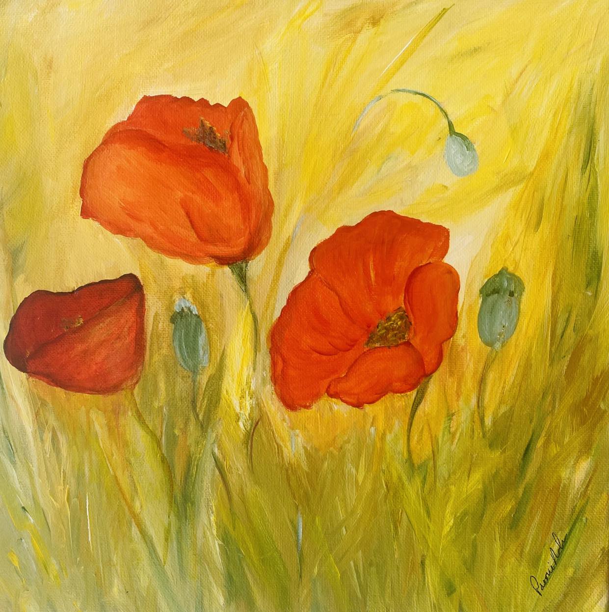 Poppies deals for sale